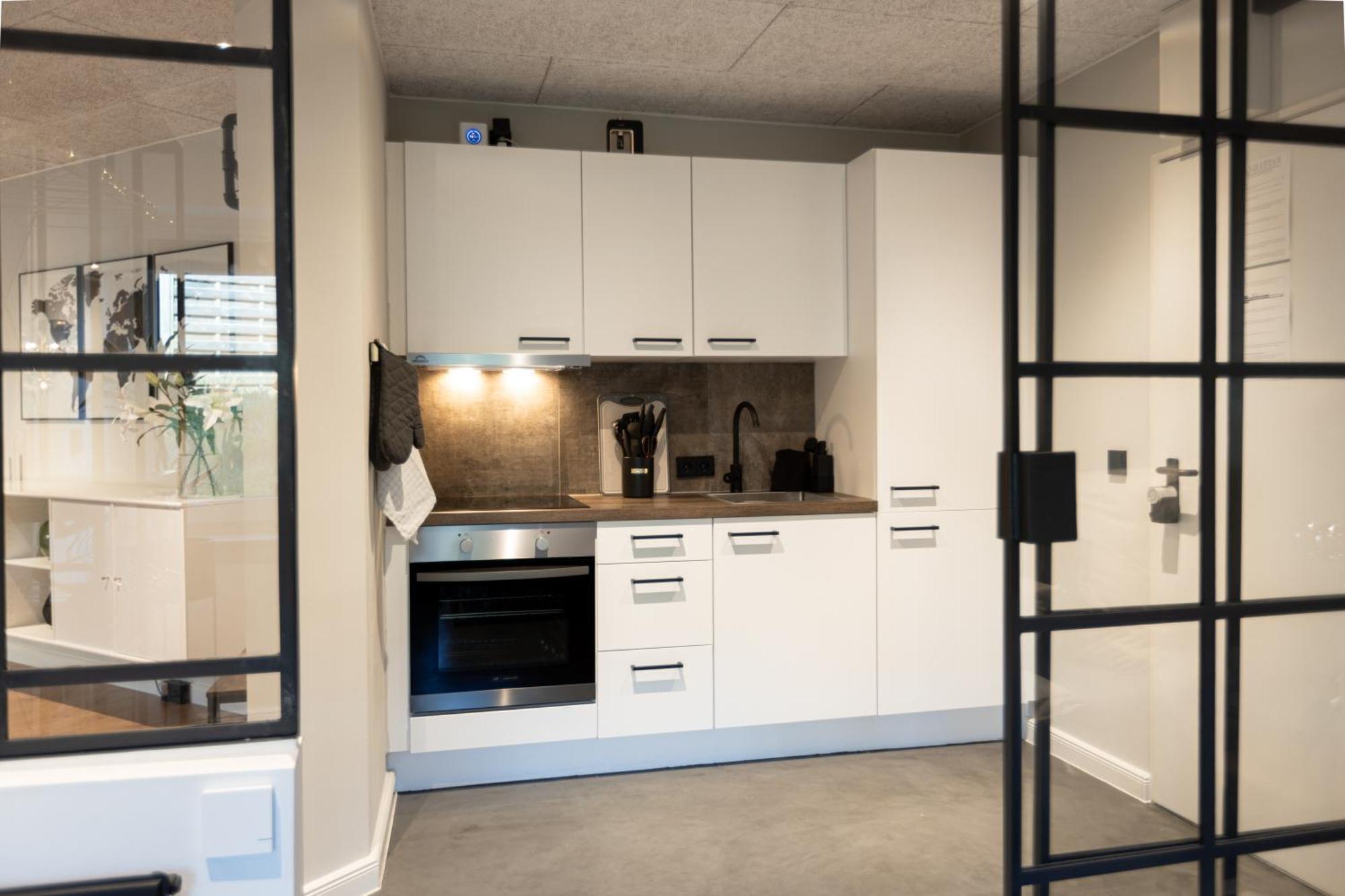 Ny Style Entire Apartment W/Private Cozy Terrace Harreslev Eksteriør billede